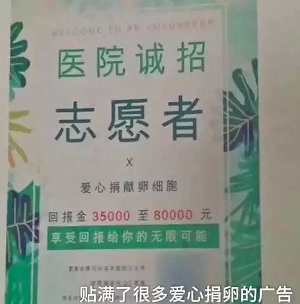 裸贷、援交、卖卵...每一个出事的女大学生背后，都藏着1000种欲望（视频/组图） - 3