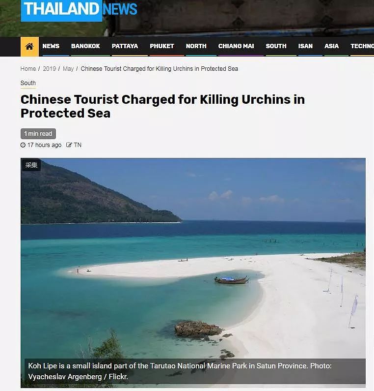 中国游客在泰国“杀死”海胆被诉？真相是…（图） - 1