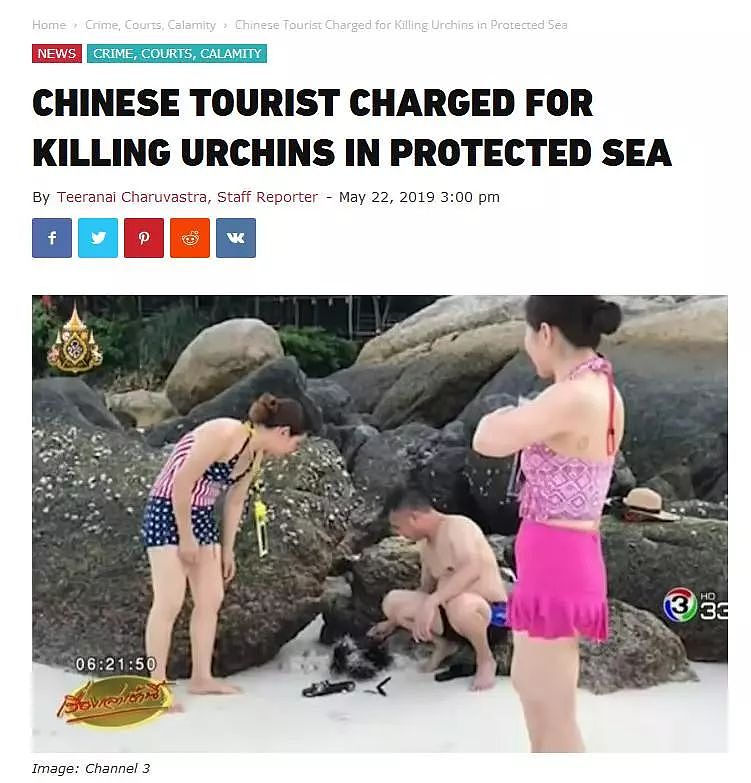 中国游客在泰国“杀死”海胆被诉？真相是…（图） - 2