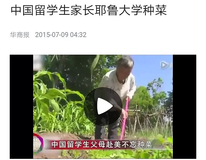 给中国妈妈一把锄头，她们能把菜种遍整个地球（组图） - 19