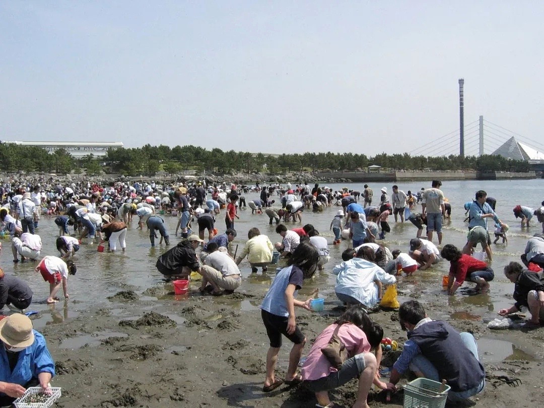 中国游客在日本疯狂挖生蚝，大叔：日本人不吃太浪费了（组图） - 1