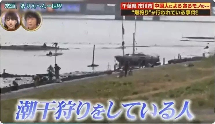 中国游客在日本疯狂挖生蚝，大叔：日本人不吃太浪费了（组图） - 2