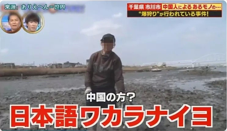 中国游客在日本疯狂挖生蚝，大叔：日本人不吃太浪费了（组图） - 3
