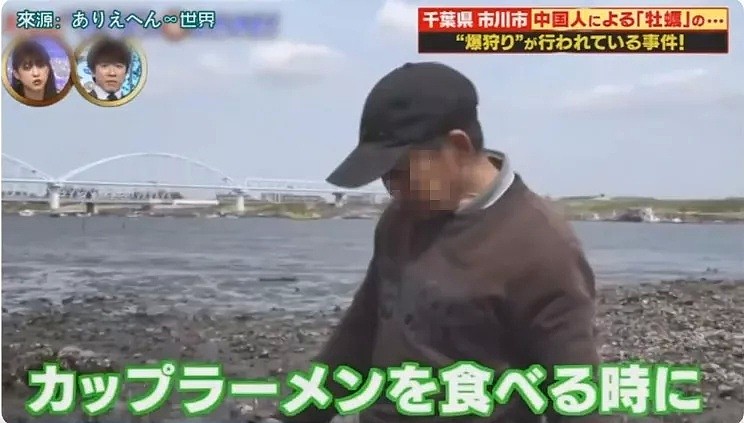 中国游客在日本疯狂挖生蚝，大叔：日本人不吃太浪费了（组图） - 15
