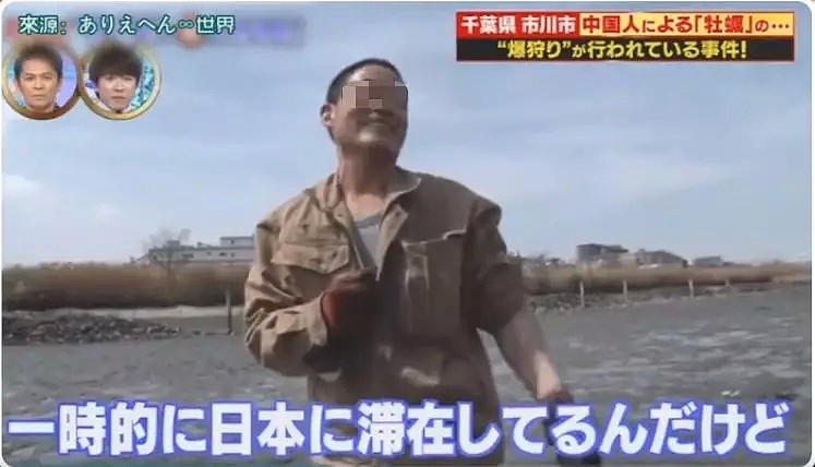 中国游客在日本疯狂挖生蚝，大叔：日本人不吃太浪费了（组图） - 18