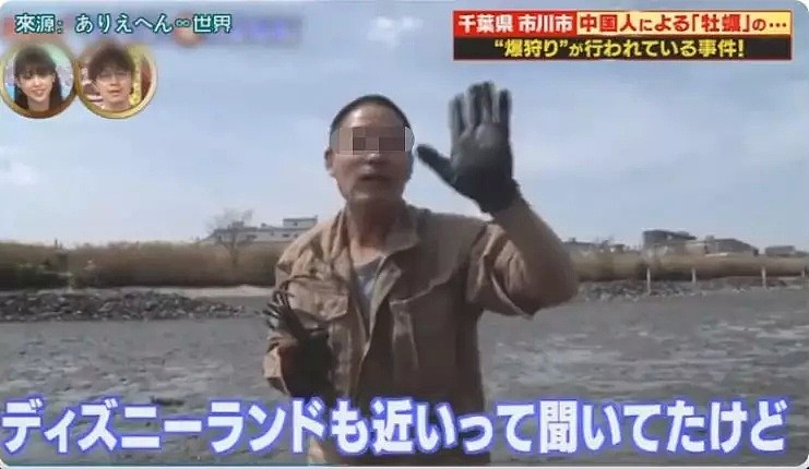 中国游客在日本疯狂挖生蚝，大叔：日本人不吃太浪费了（组图） - 20