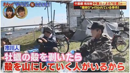 中国游客在日本疯狂挖生蚝，大叔：日本人不吃太浪费了（组图） - 30