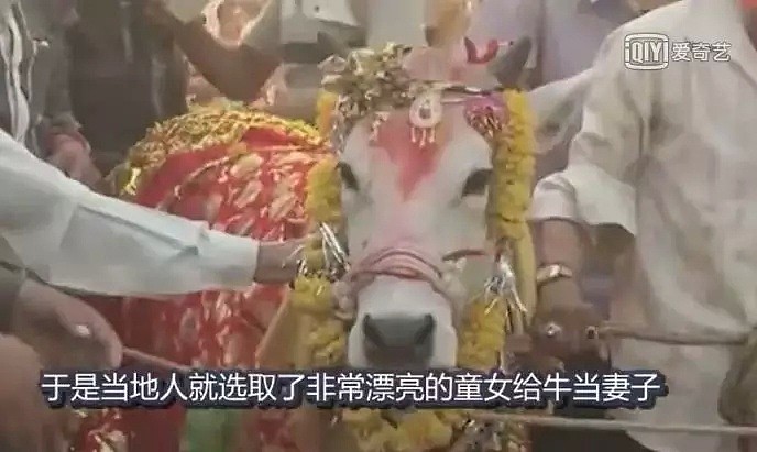 为了全村幸福嫁给牛，为了消除诅咒和狗结婚…人间炼狱也不过如此！（组图） - 23