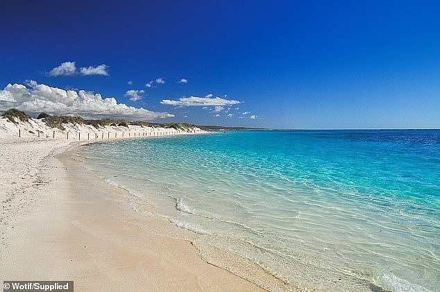 Swimming with Whale Sharks along Ningaloo Reef, near the township of Exmouth is quickly becoming one of Australia’s most sought-after experiences