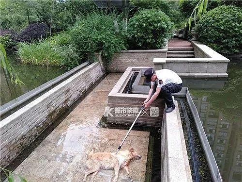 两名女童小区内玩耍瞬间身亡！马上告诉孩子远离这些危险 （组图） - 7