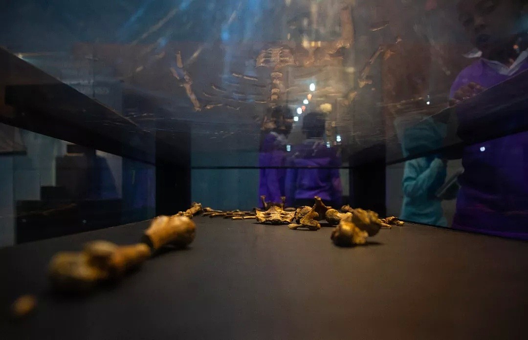 她是300多万年前的失足少女 “分身”在上海（组图） - 6
