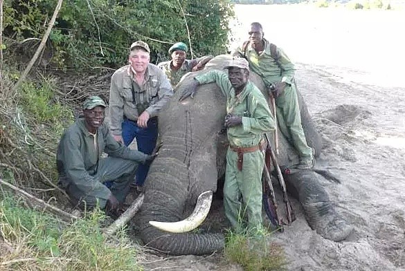 所有人呼吁保护大象时，这个国家取消了大象狩猎禁令！（组图） - 3