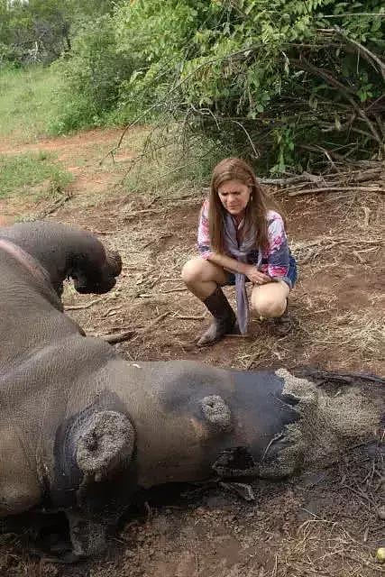 她在南非潜伏五年，揭开了人类屠杀犀牛背后的血腥之路