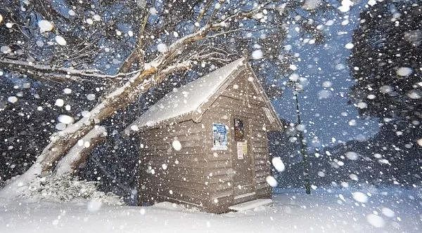 冻死了！最低-1℃！悉尼妖风肆虐，或致1人死亡！全澳多地暴雪覆盖，冬天真的来了...（视频/组图） - 59