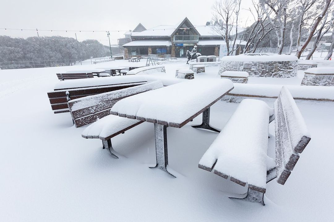 冻死了！最低-1℃！悉尼妖风肆虐，或致1人死亡！全澳多地暴雪覆盖，冬天真的来了...（视频/组图） - 63