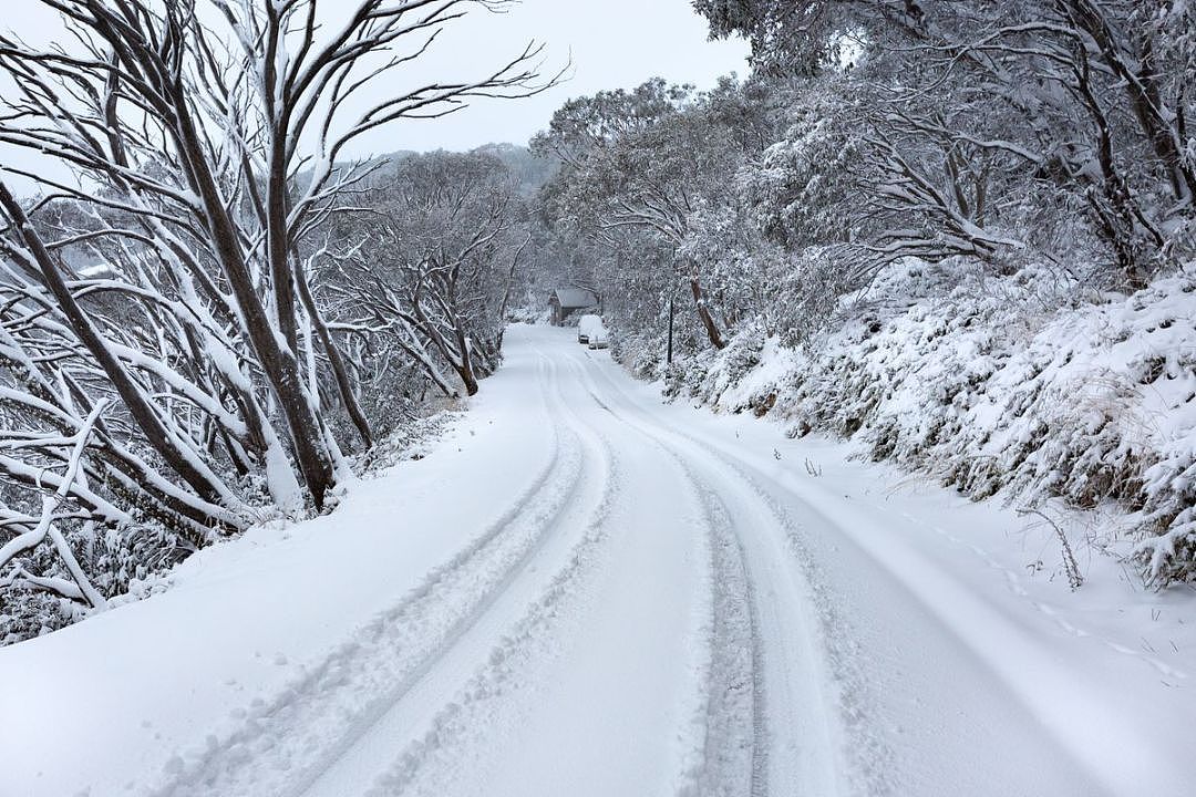 冻死了！最低-1℃！悉尼妖风肆虐，或致1人死亡！全澳多地暴雪覆盖，冬天真的来了...（视频/组图） - 64