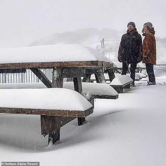 冻死了！最低-1℃！悉尼妖风肆虐，或致1人死亡！全澳多地暴雪覆盖，冬天真的来了...（视频/组图） - 65