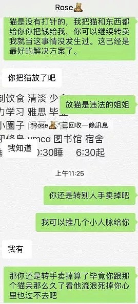 “已经快断气了！”中国留学生残忍虐猫！外表美丽，内心如此恶毒（组图） - 19