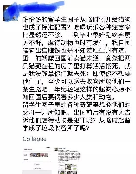 “已经快断气了！”中国留学生残忍虐猫！外表美丽，内心如此恶毒（组图） - 20