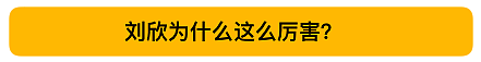 FOX女主播再向刘欣发出邀约，刘欣究竟有何魅力？网友：这次用中文呗（组图） - 4