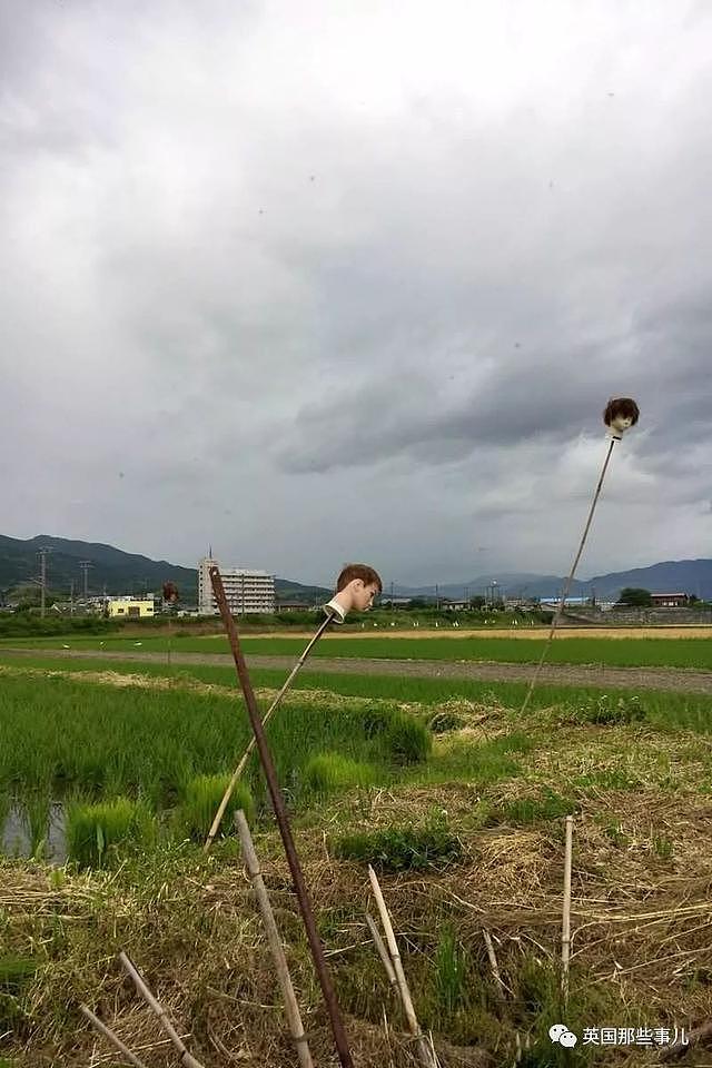 日本网友疯狂吐槽在乡下生活的日常…果然好山好水好无聊啊哈哈哈