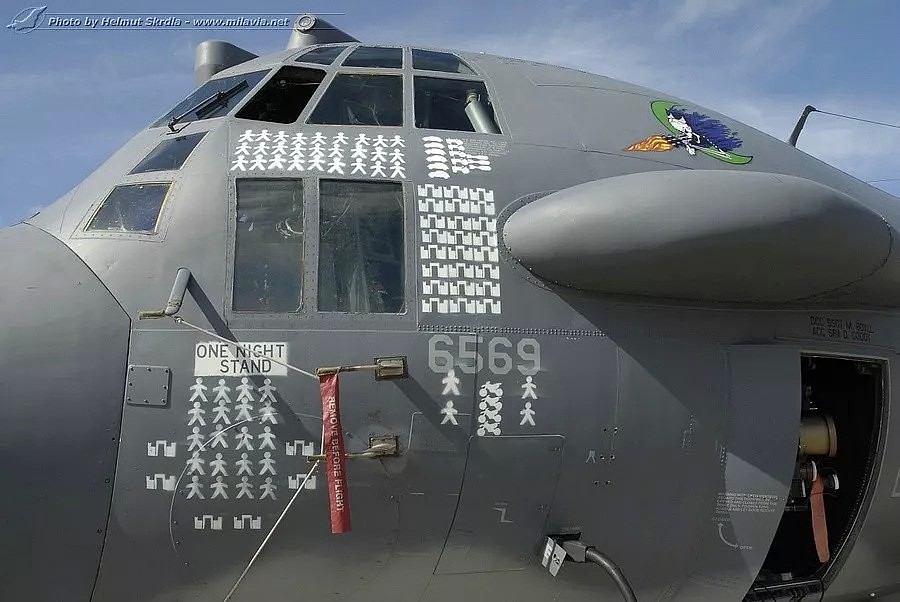 炸死牛，击落队友，撞断加油杆，这些外军飞行员为啥什么都往飞机上画？（组图） - 19