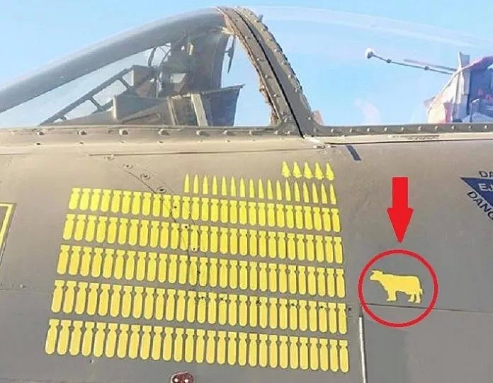 炸死牛，击落队友，撞断加油杆，这些外军飞行员为啥什么都往飞机上画？（组图） - 26