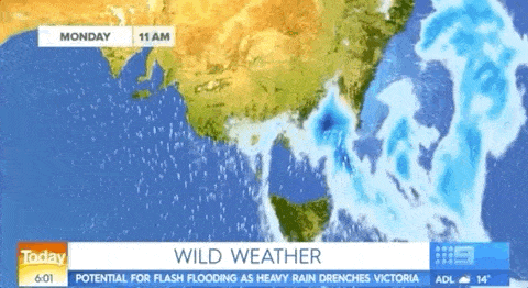 悉尼进入狂风雷暴雨模式！1天下1个月的雨，连下3天！冰雹、洪水席卷全澳 - 39