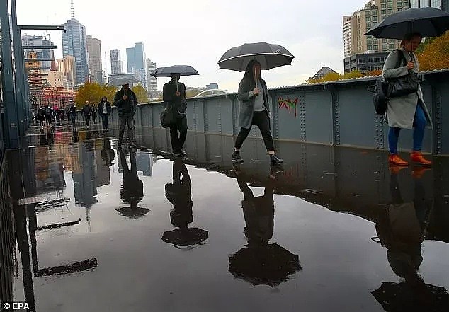 悉尼进入狂风雷暴雨模式！1天下1个月的雨，连下3天！冰雹、洪水席卷全澳 - 41