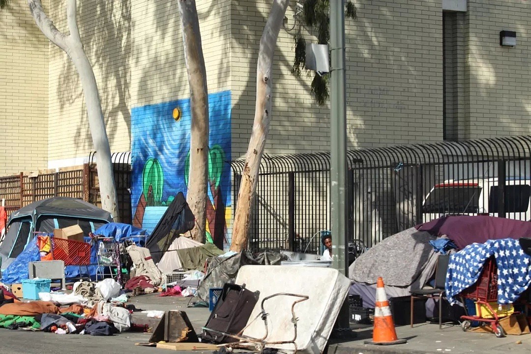 洛杉矶竟变成了这样！全美犯罪率最高的贫民窟被曝光！（组图） - 11