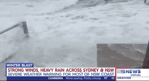 蓝山暴雪，航班轮渡取消，火车延误！狂风暴雨席卷悉尼！“冒着生命危险走在路上...” - 48