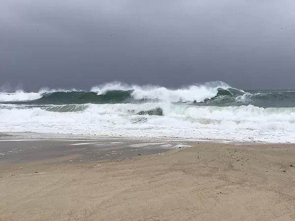 蓝山暴雪，航班轮渡取消，火车延误！狂风暴雨席卷悉尼！“冒着生命危险走在路上...” - 66