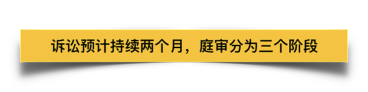 重磅！章莹颖案正式开庭！审理要2个月，嫌犯有无罪释放的可能（视频/组图） - 9