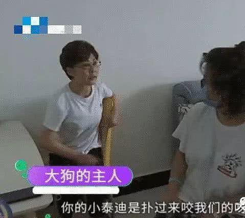 女子被大狗咬伤索赔不成，无奈自己将狗咬死（组图） - 2