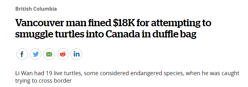 重罚！华人男子带19只活龟入境加拿大，被罚1.8万元，竟还有6只濒危物种（组图） - 1