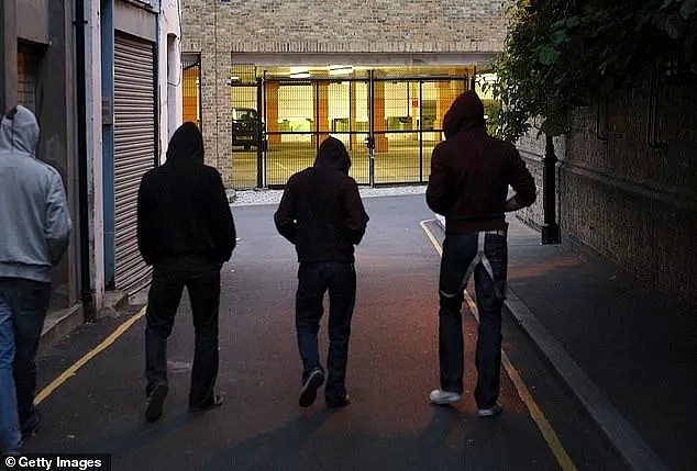 教育部长严厉谴责留学生在澳频遭袭击！95%的人因安全选择澳洲，如今却恍如隔世... - 12