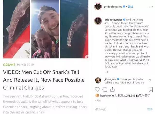 渔民虐待鲨鱼，海王“人肉”怒骂！网友：他们活该