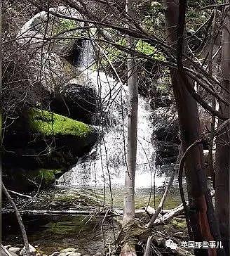 情侣在深山迷路孤立无援，绝望之际发现了一份神秘失踪者的遗物