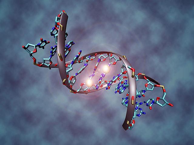 定制孩子？未来学家：2050年人类可购买DNA创造完美婴儿