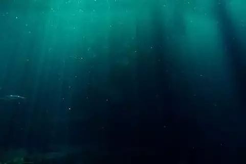 ​那天，我潜入海底，看到了令人难过的一幕…（视频/组图） - 1