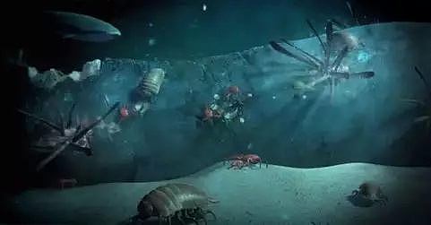 ​那天，我潜入海底，看到了令人难过的一幕…（视频/组图） - 7