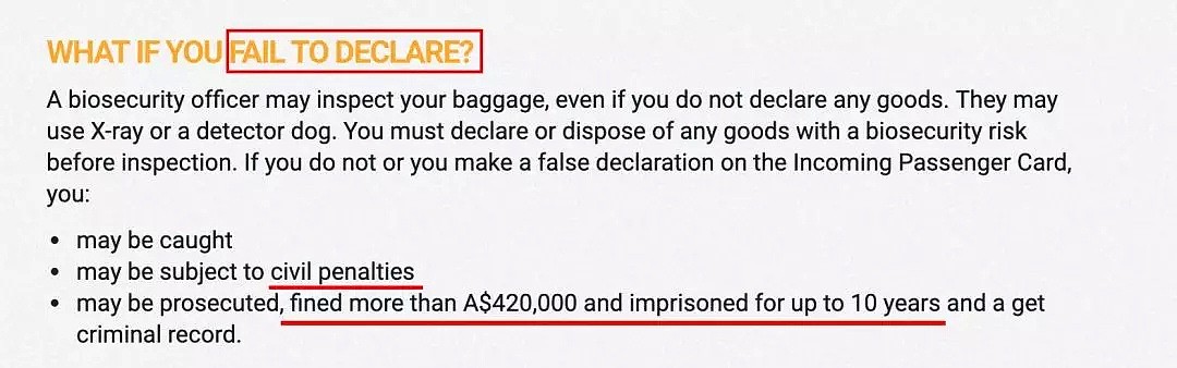 惊！中国游客入境被罚500万！大使馆、澳媒发文提醒！更可怕的还在后面... - 28