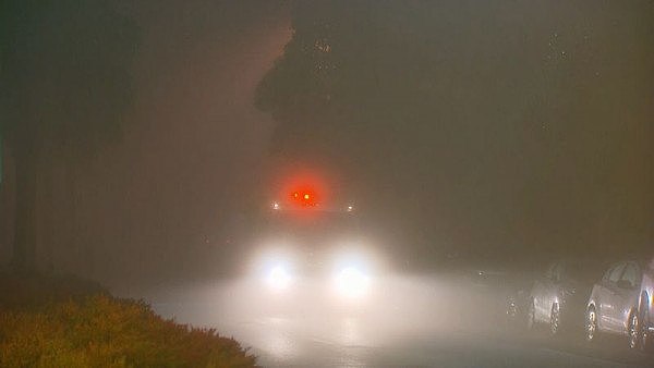 一觉醒来，悉尼变身“寂静岭”！迷雾笼罩导致大量飞机延误（图） - 5