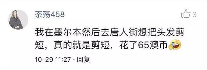 澳洲理发师剪头发公认世界最丑？那是因为你不知道这些... - 14