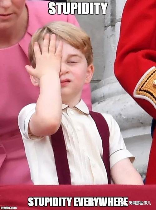 各种嫌弃！英国王室又多一个臭脸宝宝，这不爽的小表情，跟乔治神同步啊（组图） - 9