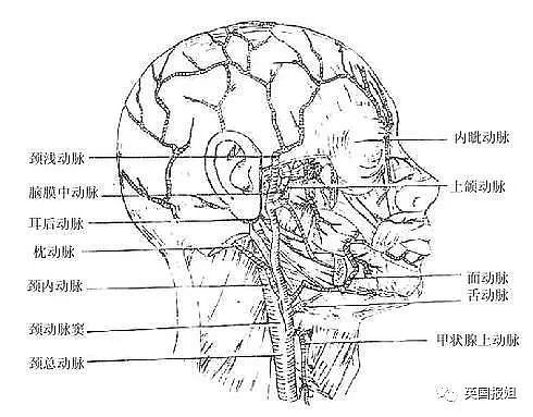 鲜肉男倒地而亡，竟是被女友亲的？（组图） - 11