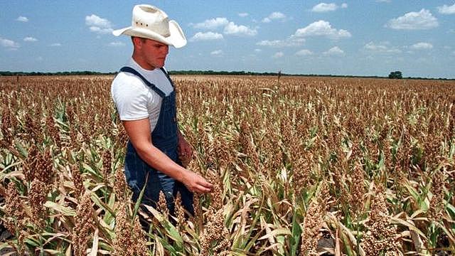 美国498个农场破产后，又有130个美国农场破产，美国农民：永失客户