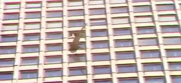 真相惊人！男子开飞机撞上纽约大楼，竟是因为这个！华裔员工亲述现场！（组图） - 15