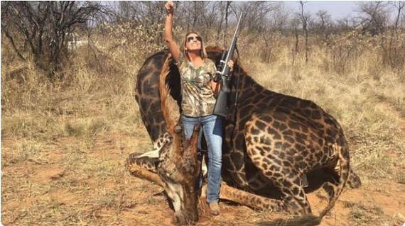 美国女猎人残忍猎杀稀有长颈鹿，还沾沾自喜说这么做为了平衡生态？（组图） - 2