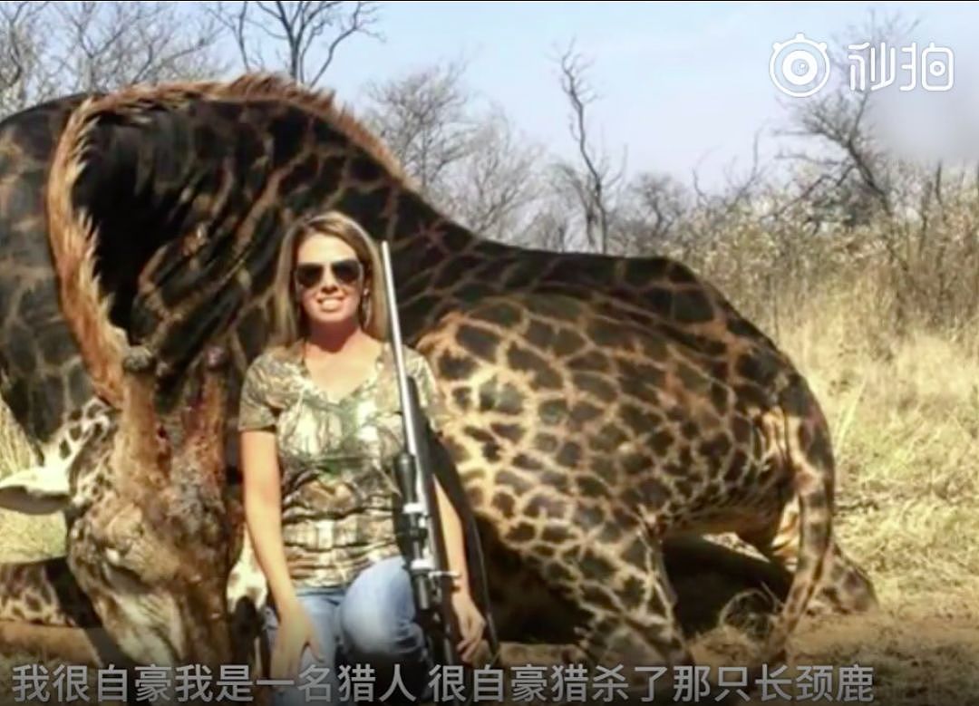 美国女猎人残忍猎杀稀有长颈鹿，还沾沾自喜说这么做为了平衡生态？（组图） - 10